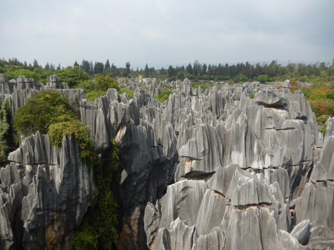 Stone Forest