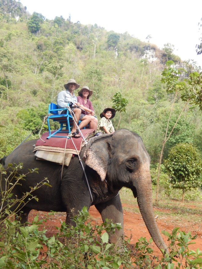 Elephant riding