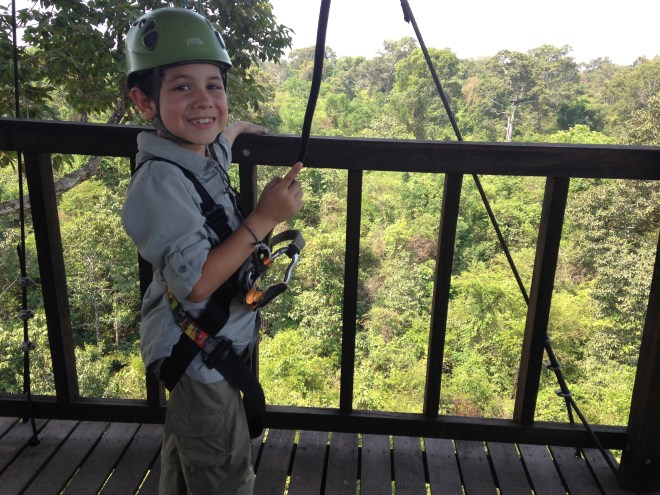 Checking out the treehouse view