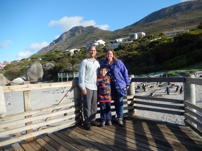 Penguins at Boulders Beach