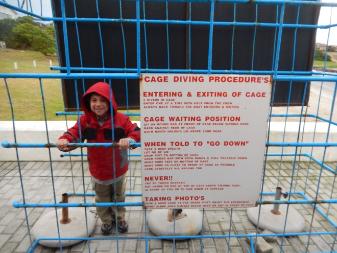 Great White Cage Diving!