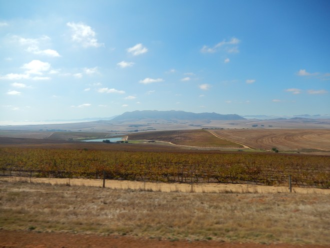 South African landscape