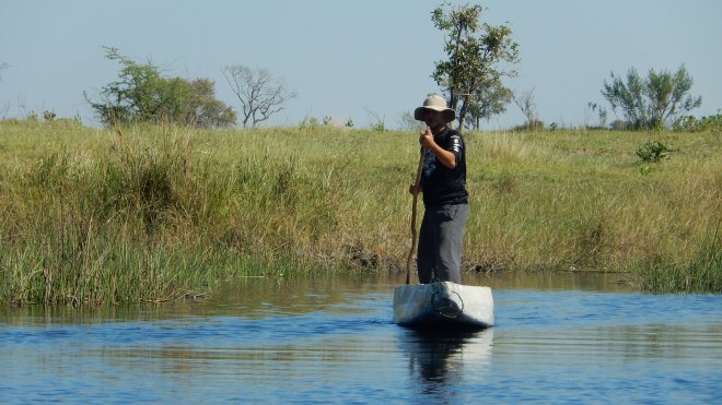 Adam learning to pole