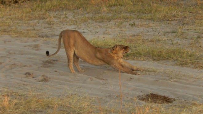 Stretching after a rest