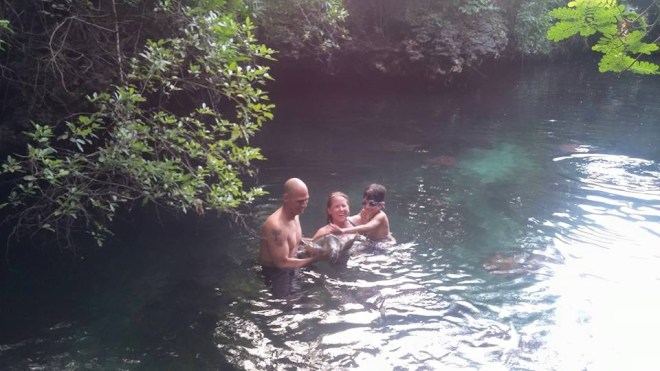 Swimming with turtles