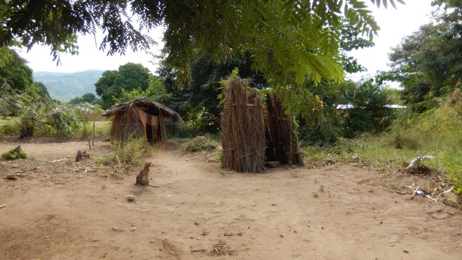 Village bathroom
