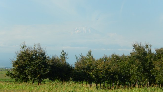 Mt Kilimanjaro (sort of)