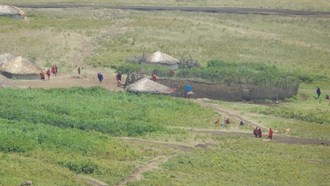 Maasi Village