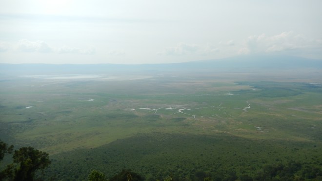 Ngorongoro Crater
