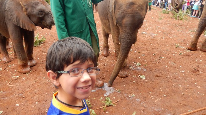 Loving the elephants