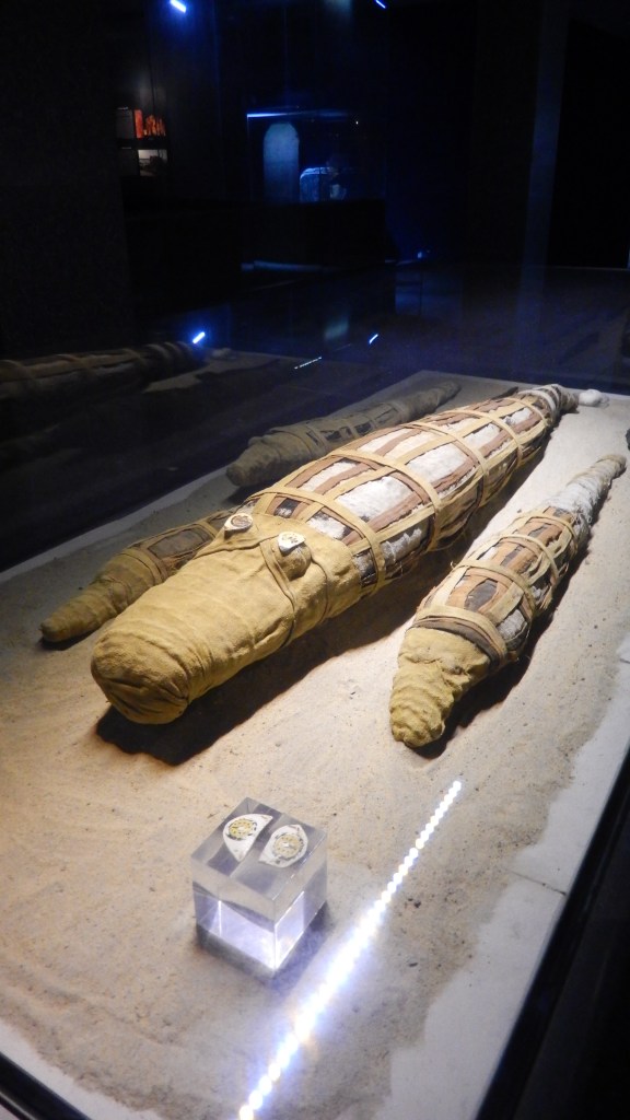 Sobek Museum