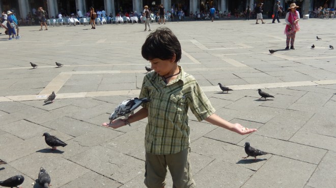 Feeding the pigeons in St. Mark's Square