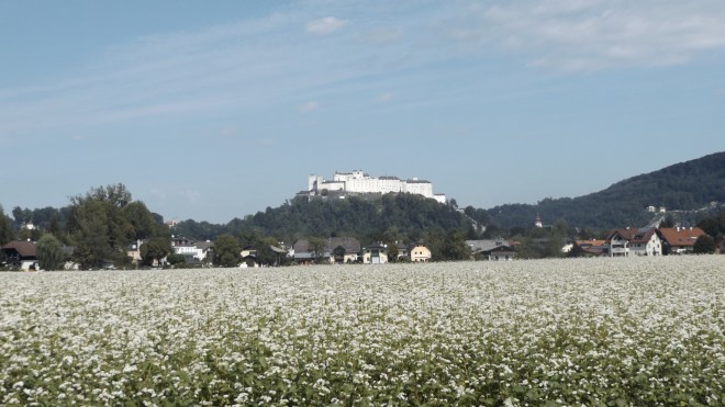 Beautiful view of Salzburg