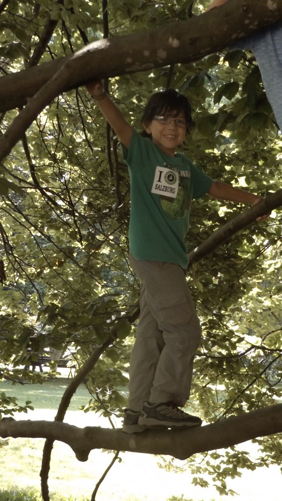 Climbing trees just like the Von Trapp kids