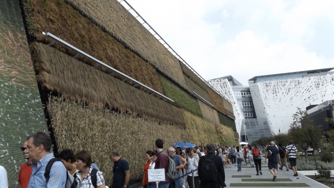 Wall Garden...pretty awesome!
