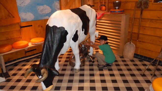 Milking the cow