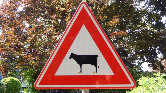 LOVE the wooden shoes on the cow sign!