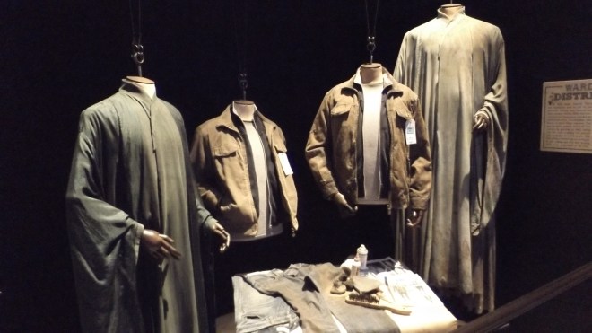 Harry and Voldemort Costumes