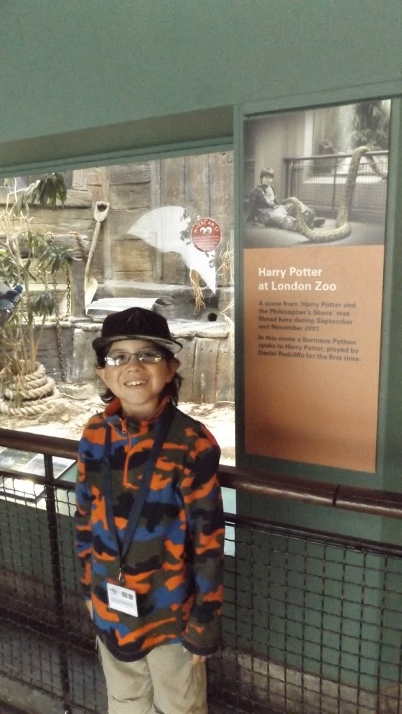 Reptile House (from Harry Potter)